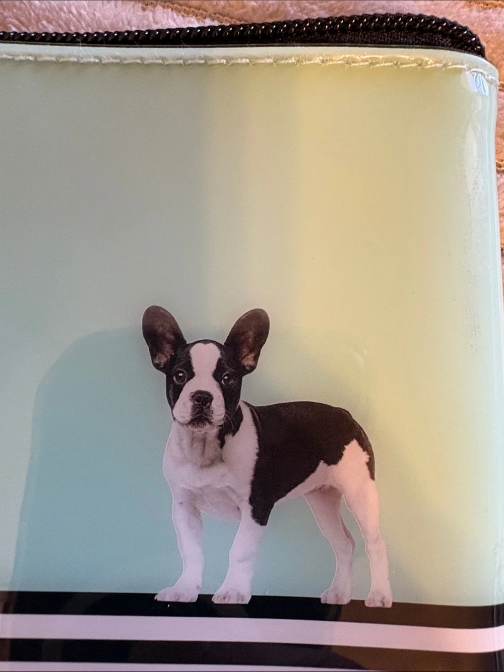 Catseye Mint Green, French BullDog Zip Cosmetic Bag